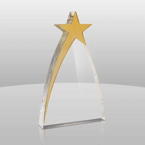 acrylic award