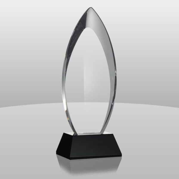 acrylic award