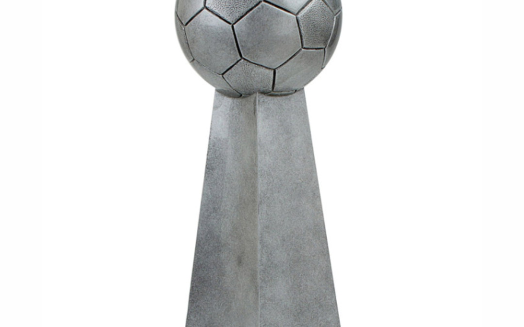 Championship Sports Ball Soccer