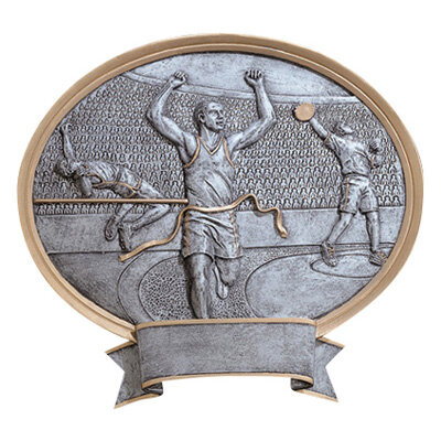 engraving, medal, triathalon, bronze