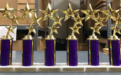 The Art of Choosing the Perfect Special Event Awards