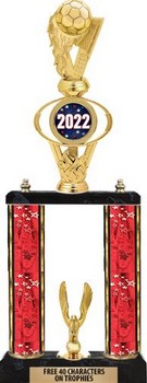 What Is a Two Column Trophy? A Complete Guide to This Award Style