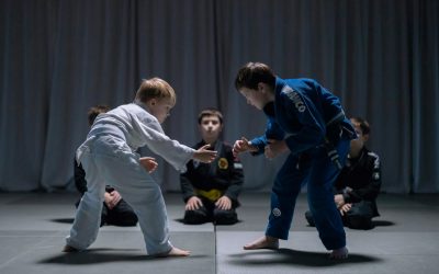 Award the Effort: Custom Taekwondo Medals and Trophies for Tournaments